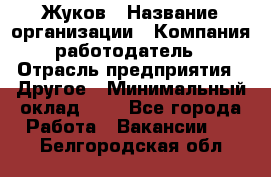 Жуков › Название организации ­ Компания-работодатель › Отрасль предприятия ­ Другое › Минимальный оклад ­ 1 - Все города Работа » Вакансии   . Белгородская обл.